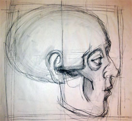 Tekencursus, Anatomie schedel en hoofd 'en profiel'.