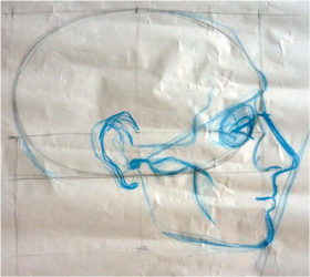 Anatomie van het hoofd profiel. Tekencursus.