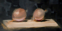 Painting onions, an excercise in flesh colours