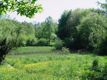 Vogeleiland in het Amsterdamse Bos