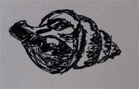 27-11-2009, Schetsen van basisvormen, elips ronddraaiende beweging rondom een as van een schelp. Materiaalkeuze kan van invloed zijn op de textuur/ stofuitdrukking. Inkt op papier.